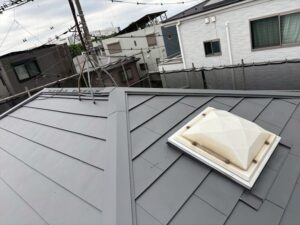 ダンネツトップ6-1ワイドの屋根