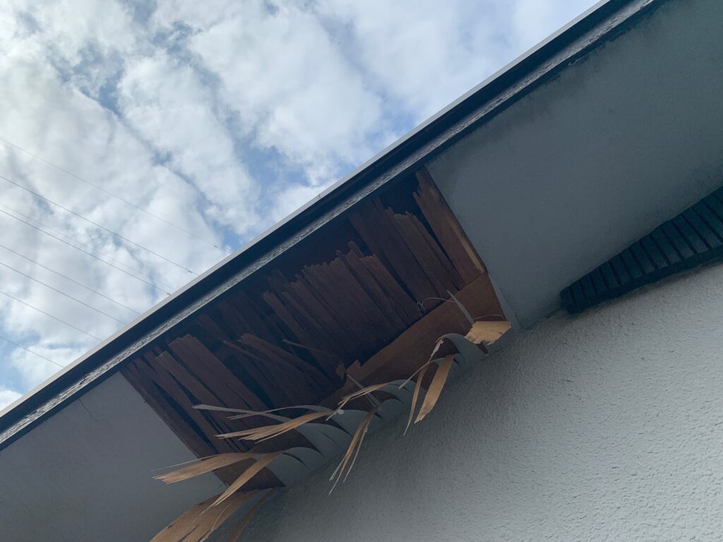 破損した軒裏天井